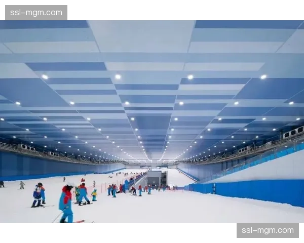 通讯：为推广冰球，阿拉斯加小镇利用地热建造全年无休户外冰场